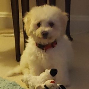 Meet your Posher, Beth